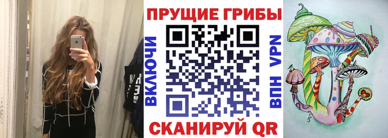 Галлюциногенные грибы Psilocybe  Шиханы 